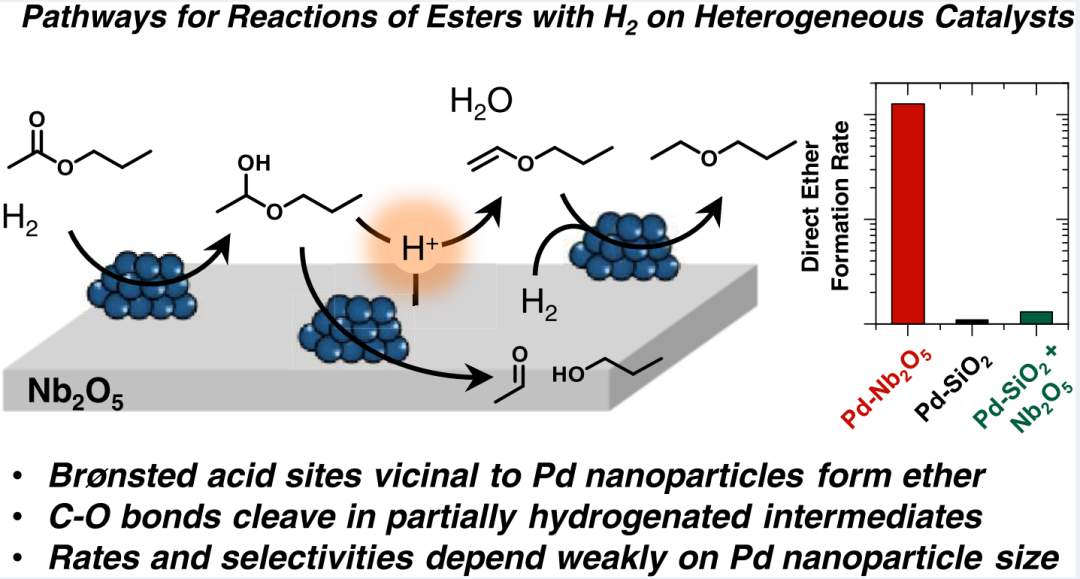 JACS+ACS catalysis！优等生钯催化剂,图片,催化剂,纳米,环境,金属,水,钯催化剂,第9张