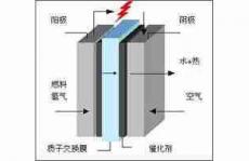 Nature Energy：建立质子交换膜燃料电池高活性氧还原反应催化剂与高效催化层之间桥梁关系