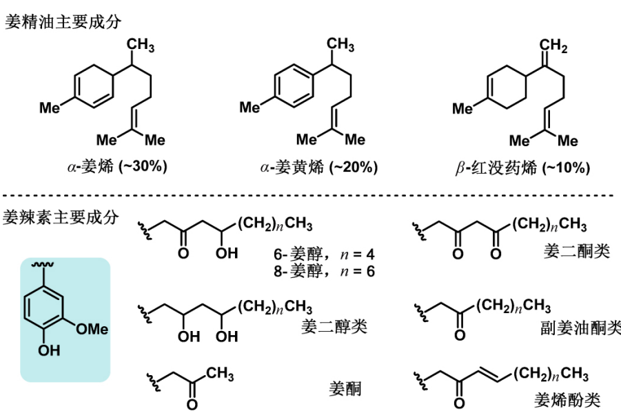 科普 | 辣味小传,图片,科普,食品,肿瘤,抗氧化,原子,辣椒,大蒜,第7张