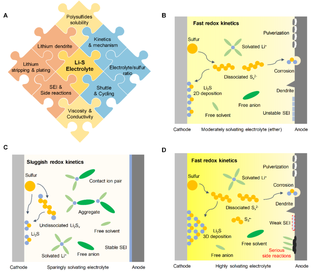 北大庞全全Joule：锂-硫电池的电解液设计,图片,催化剂,金属,能源,标准,电化学,第1张