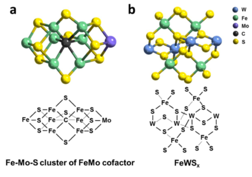 孙立成院士团队今日Angew. Chem.：S键合 FeW 催化剂用于电化学氮还原！,图片,材料,催化剂,纳米,金属,元素,第1张