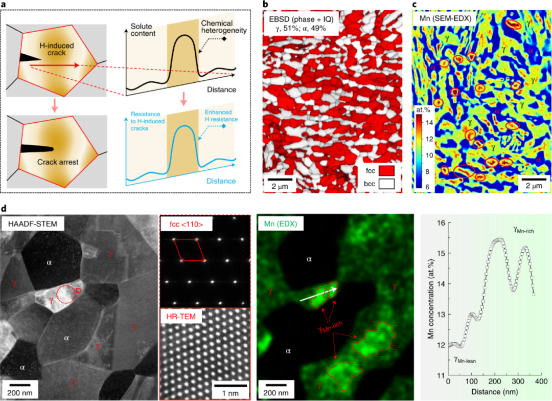 德国马普所Nat. Mat.:化学异质性增强的高强度钢用于输氢储氢！,图片,材料,纳米,环境,金属,水,第1张