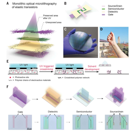 鲍哲南Science：高密度弹性电路的单片光学微刻工艺,图片,材料,纳米,元素,标准,半导体,Science,弹性晶体管,第4张