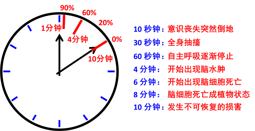 心脏骤停，死神只给你四分钟！,图片,二氧化碳,安全,氢,氧化,葡萄糖,心脏骤停,AED除颤,第3张