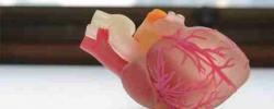 生物3D打印助力健康中国 — Print me an organ究竟还有多远？