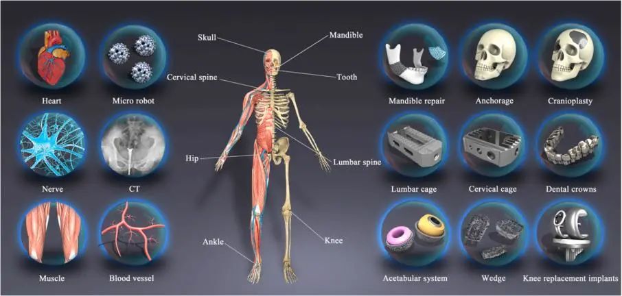 生物3D打印助力健康中国 — Print me an organ究竟还有多远？,图片,活性,手术,稳定性,分子,化学,3D打印,人体器官芯片,第2张