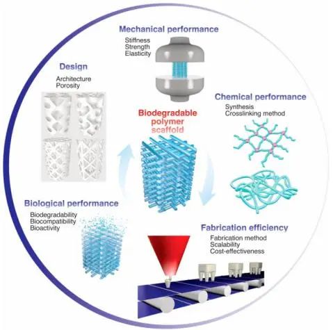 生物3D打印助力健康中国 — Print me an organ究竟还有多远？,图片,活性,手术,稳定性,分子,化学,3D打印,人体器官芯片,第7张