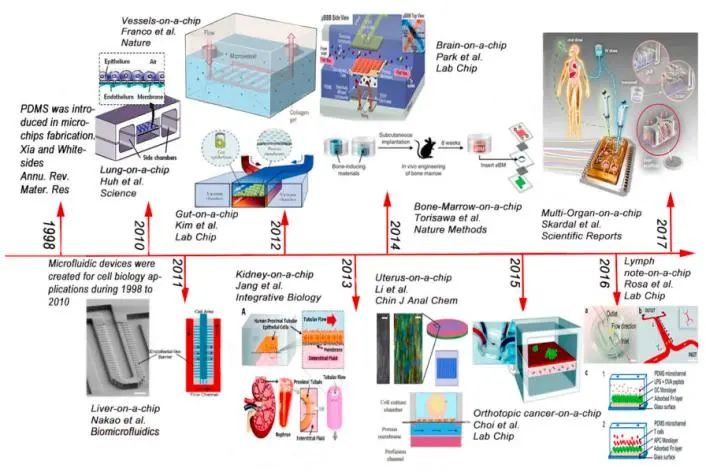 生物3D打印助力健康中国 — Print me an organ究竟还有多远？,图片,活性,手术,稳定性,分子,化学,3D打印,人体器官芯片,第12张