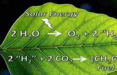 碳中和EES：怎样评估CO2还原合成碳质产品的经济前景？