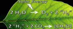 碳中和EES：怎样评估CO2还原合成碳质产品的经济前景？