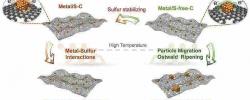 中国科大在抗烧结碳载纳米团簇催化剂方面取得新进展