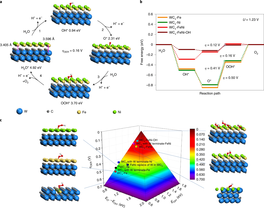 Nature Materials：碳化钨负载的高活性单原子OER催化剂,图片,论文,碳化钨,X射线,光谱,活性,催化剂,金属碳化物,第5张
