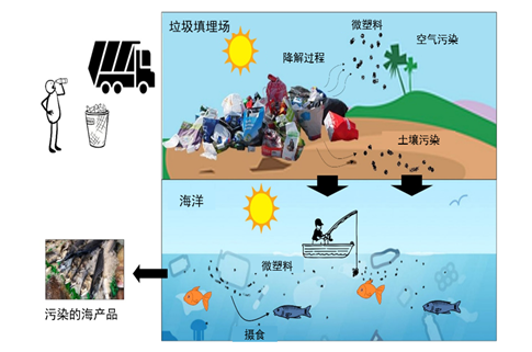 新冠肺炎流行期间塑料的产生、危害和处置,图片,新冠肺炎,聚合物,新冠肺炎疫情,医疗设施,个人防护设备,第4张