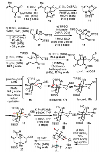 华东师范高栓虎团队首次实现天然产物Norzoanthamine的高效不对称全合成,图片,不对称全合成,金属催化,双缩酮氨,活性,创新药物,第3张