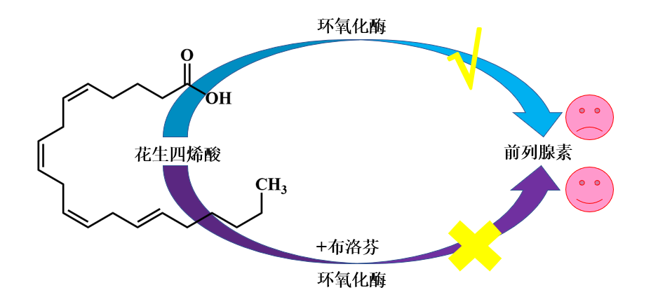 在囤药背景下认识布洛芬,图片,新冠病毒,化学领域,常用药,布洛芬,阿司匹林,第3张