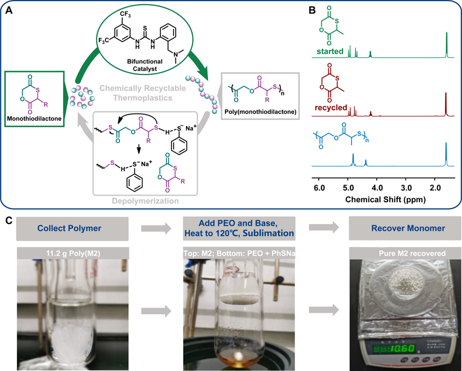 长春应化所陶友华研究员课题组 JACS：单硫代交酯单体实现可闭环回收且性能优异的塑料,图片,机械回收,塑料,聚合物,X射线,活性,第2张