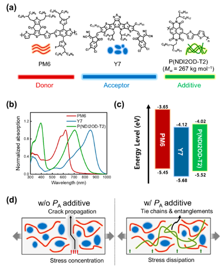 韩国科学技术研究院 (KAIST) Bumjoon Kim 教授在JACS Au刊登首篇太阳能电池领域文章！,图片,聚合物,太阳能电池,发电机,光电,缠结链,第2张