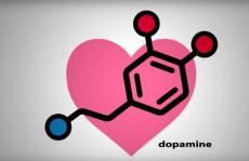 传递快乐的分子——多巴胺（dopamine）