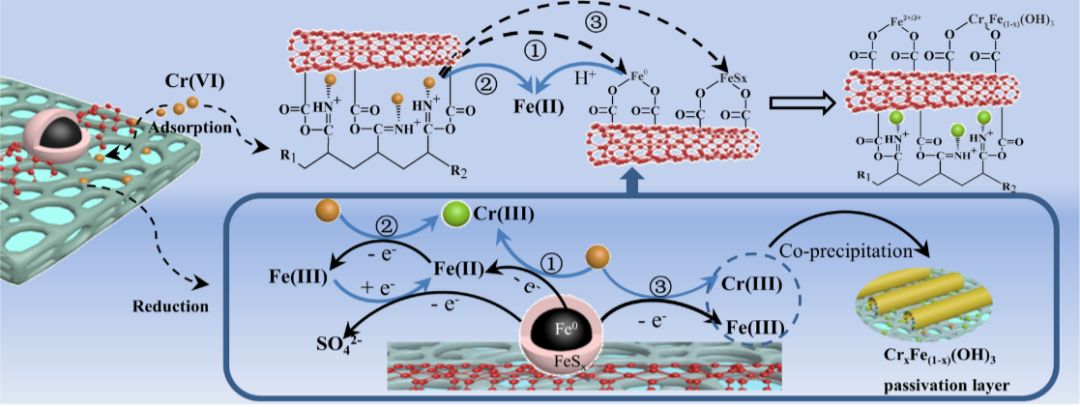  5篇关于“铬的高效吸附与还原”的最新进展，快来了解！,图片,工业废水,地下水污染,生态环境,铬,吸附与还原,第8张