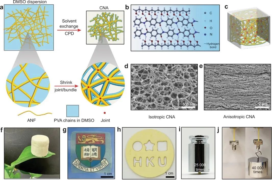 IUPAC 2022化学领域十大新兴技术 | 十大新材料之首—“气凝胶”,图片,气凝胶,新兴技术,化学领域,高分子溶液,纤维元素,第2张