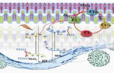  速看！S型异质结在光催化应用方面又有新突破