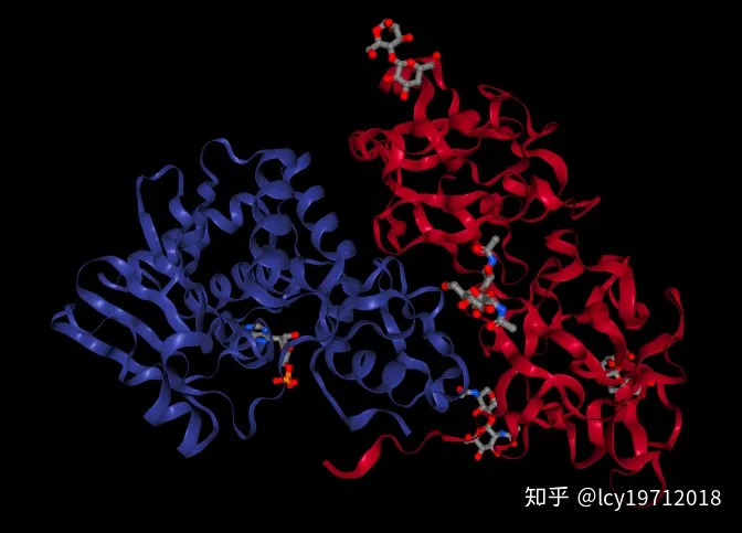 吃香蕉预防新冠是真是假？,图片,香蕉,新冠,预防,香蕉凝集素,病毒蛋白,第4张
