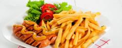 薯条和香肠中的健康脂肪？一种提取、消化和分析食品中脂肪的新方法