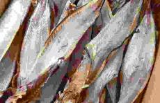 印度干鱼制品食用安全吗色谱法研究