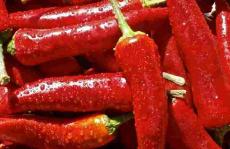 Scoville秤如何适用于辣椒？