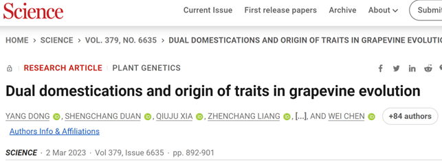 云南农业大学首次以第一单位发Science，并被选为封面论文，全文89位作者！,图片,Science,云南农业大学,葡萄,基因流动,驯化,第2张