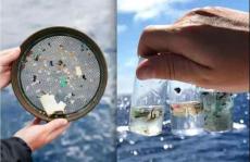 新型污染物微塑料：从出现到降解——微塑料的生物效应及其对人类的危害