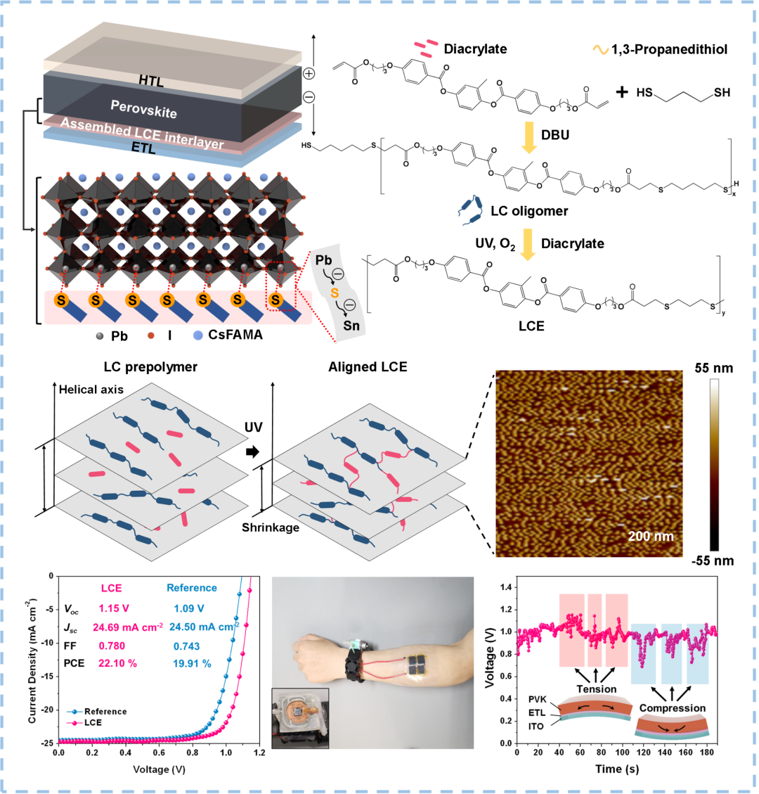  化学所宋延林、苏萌/江西师大陈义旺/苏科大李琳《Nat. Commun.》：基于液晶弹性体增韧的可穿戴钙钛矿太阳能电池,图片,液晶弹性体,钙钛矿太阳能电池,光聚合,分子排列顺序,电荷传输通道,第2张