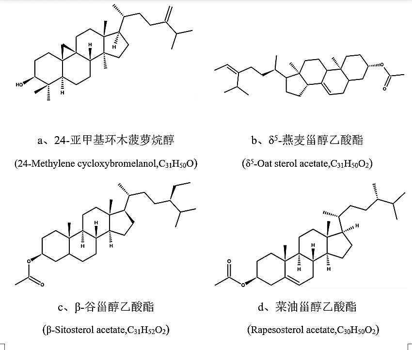 大自然赠予人类的宝藏-----桃仁,图片,桃仁,药用价值,环保天然产品,人类健康,脂肪酸,第2张