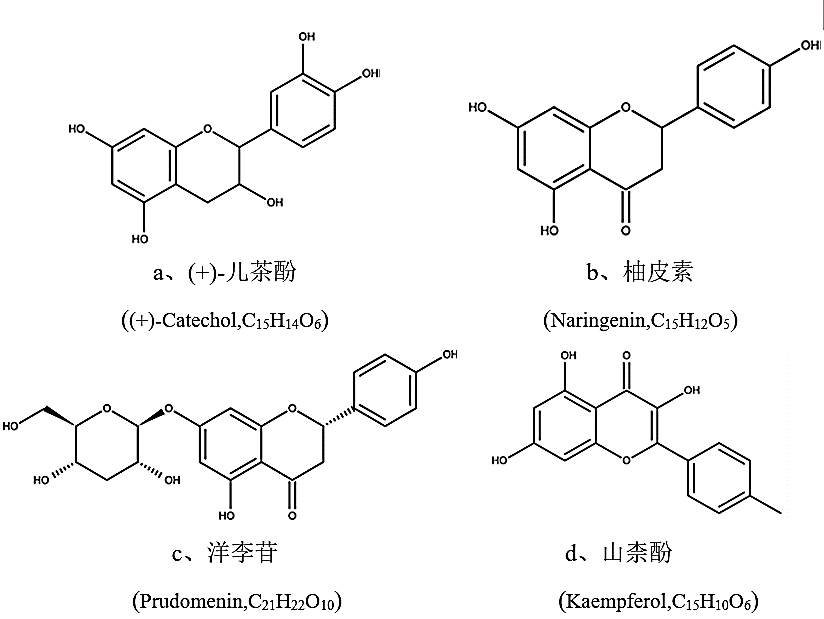 大自然赠予人类的宝藏-----桃仁,图片,桃仁,药用价值,环保天然产品,人类健康,脂肪酸,第4张