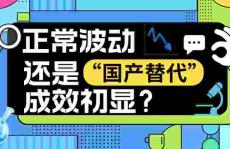 正常波动还是“国产替代”成效初显？