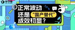 正常波动还是“国产替代”成效初显？