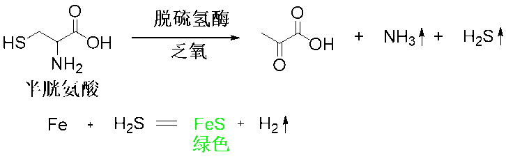 从甄嬛传“银针试毒”看生活中的化学小现象,图片,紫甘蓝,银针试毒,鸡蛋黄发青,化学知识,砒霜,第4张