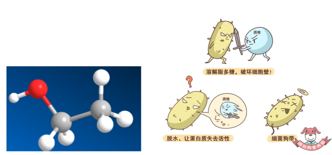 生活中预防COVID-19，它们必不可少,图片,消毒剂,新冠肺炎,酒精,洁厕灵,84消毒液,第2张