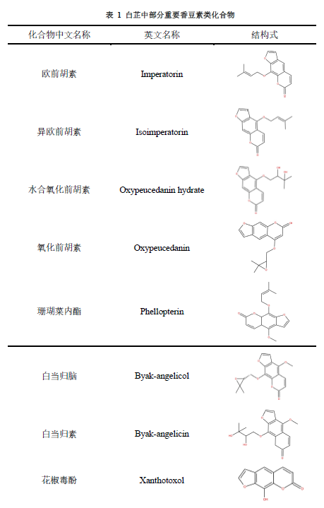 大宗药材之良药白芷,图片,白芷,大宗药材,消炎缓肿,中药,自然药物,第5张