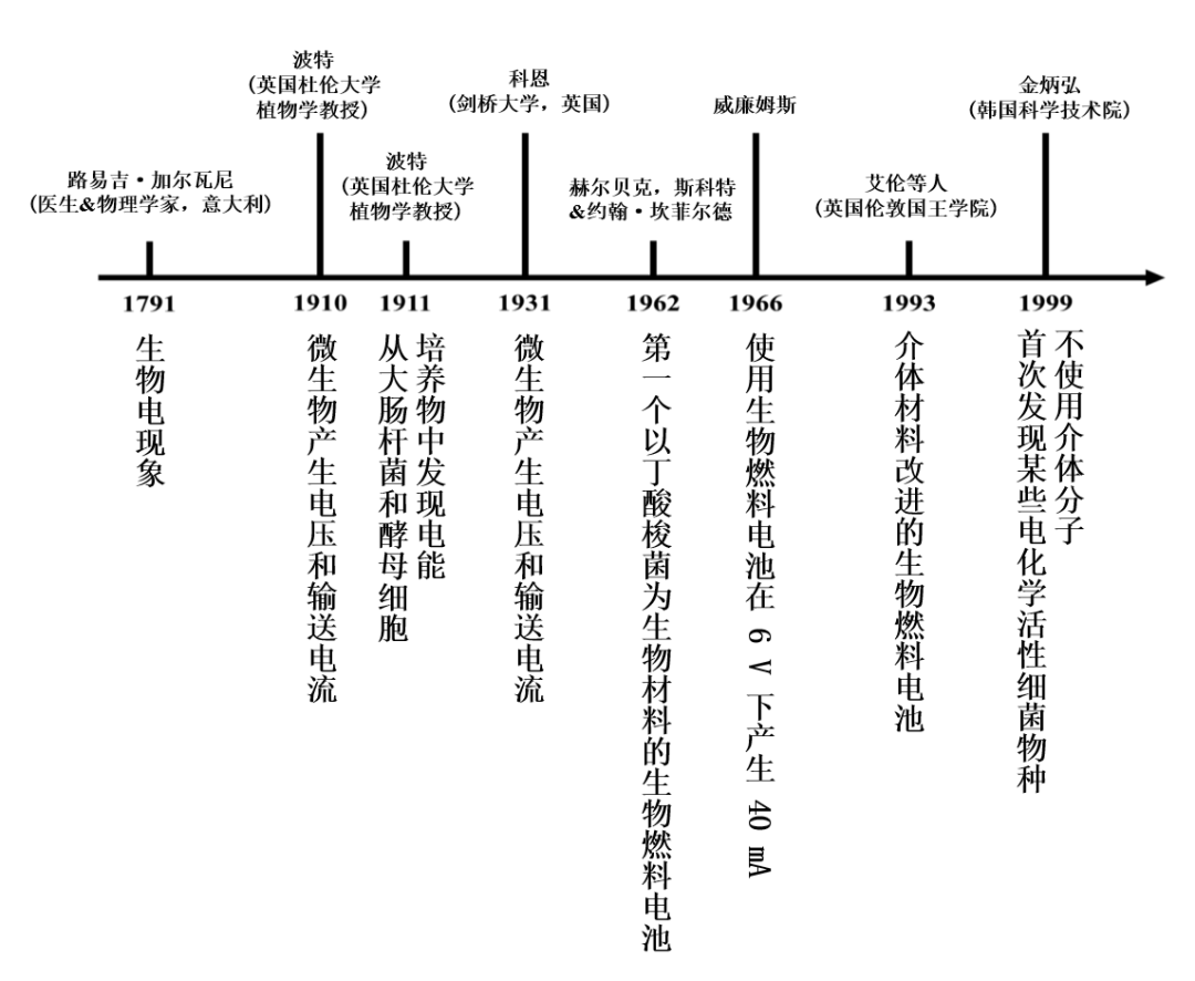 你知道吗，用微生物也可以进行发电,图片,微生物,发电,电化学技术,新型能源技术,有机化合物,第2张