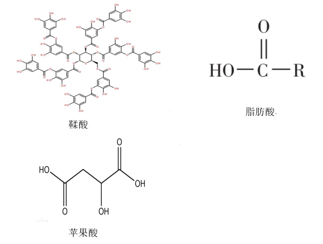  “中华果王” ——桑葚,图片,桑葚,长寿果,白黎芦醇,胰蛋白酶,功效,第3张