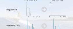 疏水固定相和水流动相运行HPLC