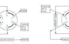 人血清甲状腺激素的在线固相萃取及LC/MS分析