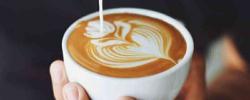 色谱法能检测咖啡掺假吗？