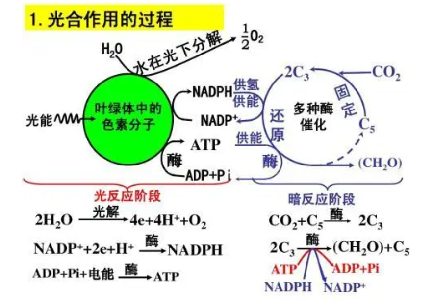 事关潜艇！新型供氧技术的崛起,图片,气瓶,噪声,发电,有机物,系统,第3张