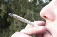 揭示大量使用大麻的长期副作用