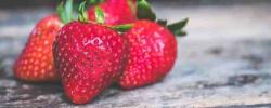 你的草莓没有农药吗色谱法探索