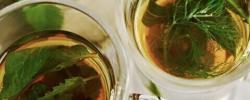 绿茶的好处是什么？色谱法研究